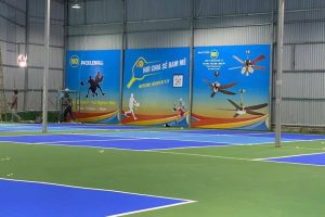 in backrop pickleball